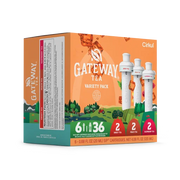 Gateway Tea® 6-Pack Variety Pack - Bright Touch U5